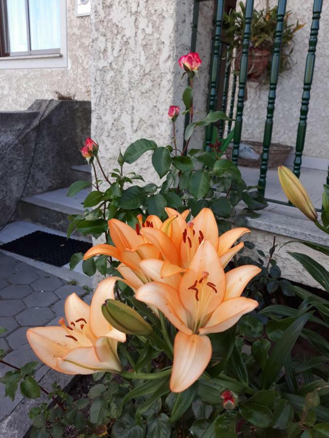 Cynda'S Home Viseu Exterior photo